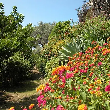 Villa Superbe Piscine Aux Sanguinnaires Ajaccio (Corsica)