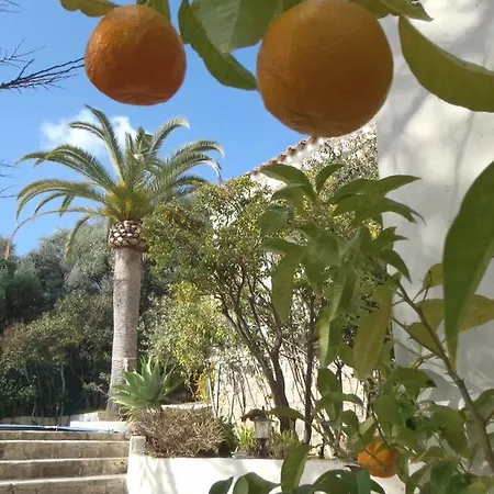 Superbe Piscine Aux Sanguinnaires