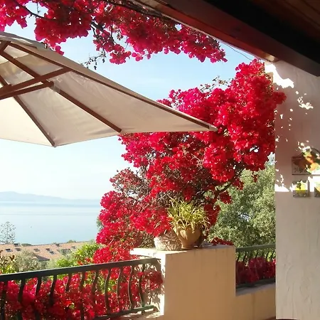 Superbe Piscine Aux Sanguinnaires Villa