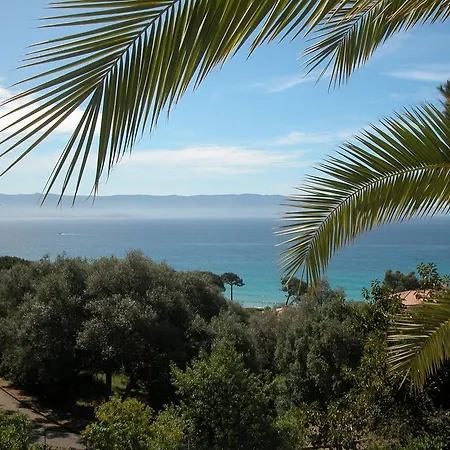 Villa Superbe Piscine Aux Sanguinnaires Ajaccio (Corsica)