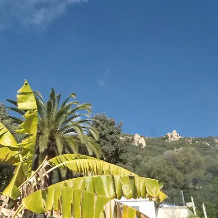Superbe Piscine Aux Sanguinnaires * Ajaccio (Corsica)